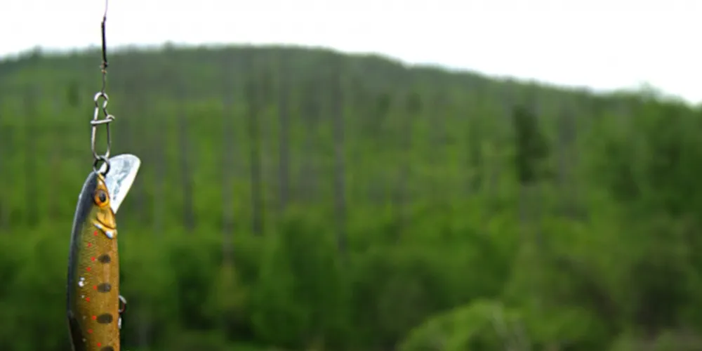 Рыбалка в горах