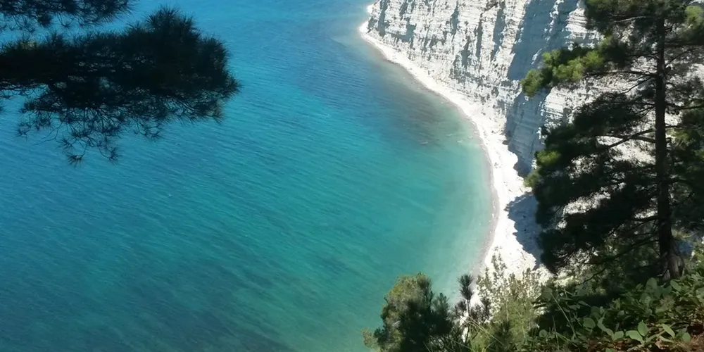 Интересные направления Юга России