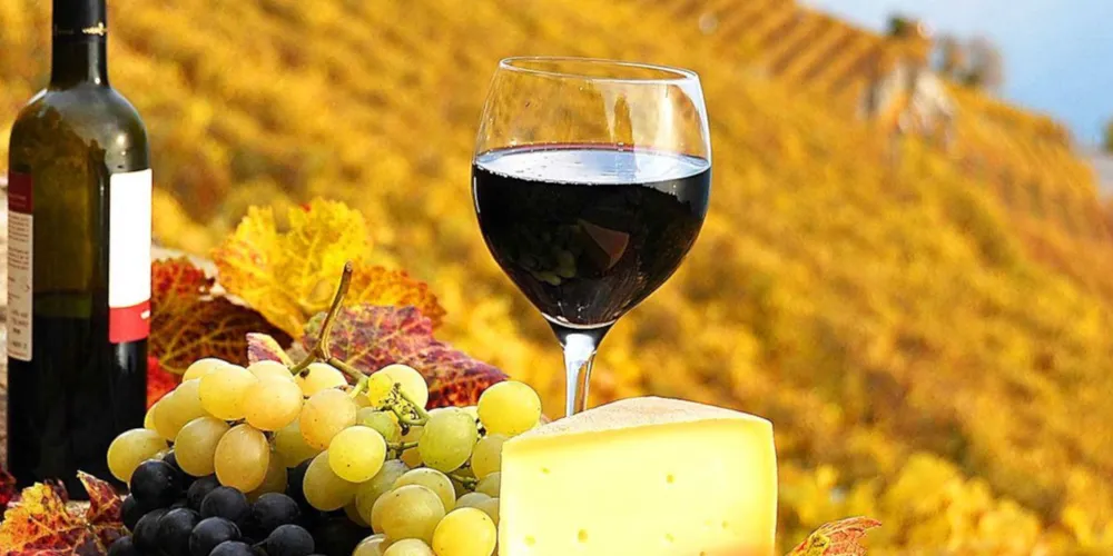 Какие возможности регионам дают винные туры Какие возможности регионам дают винные туры