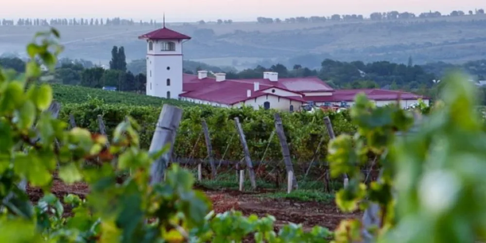 Кубань для тех, кто любит вкусно поесть?