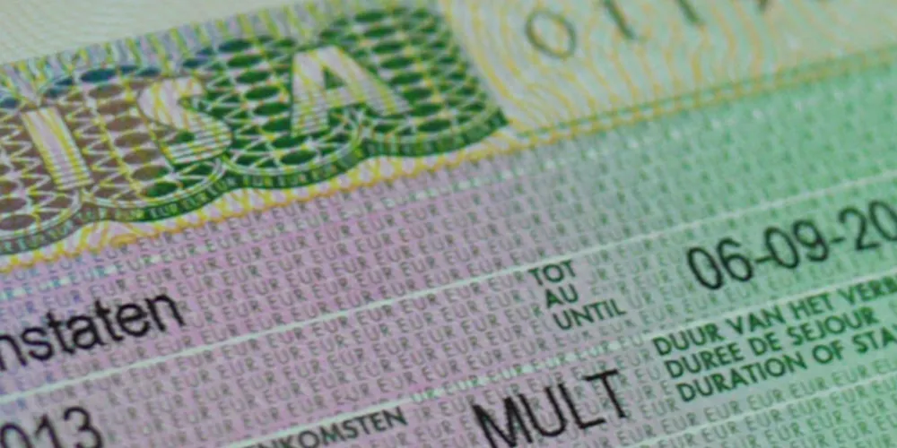 Какие бывают разновидности шенгенских виз?