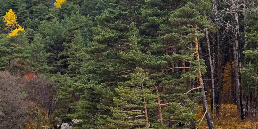 Осень на Кавказе