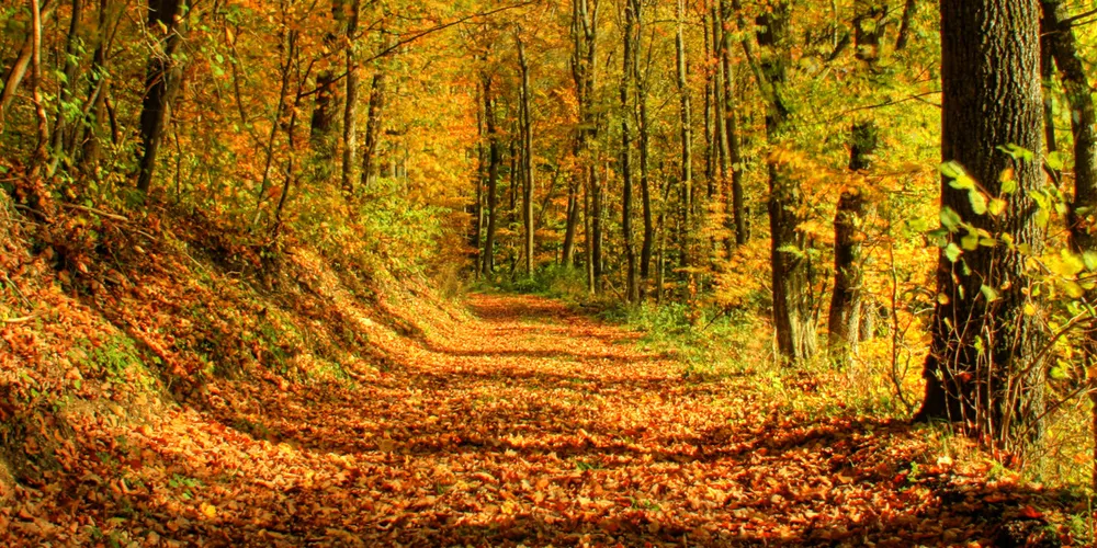 Где лучше отдохнуть осенью