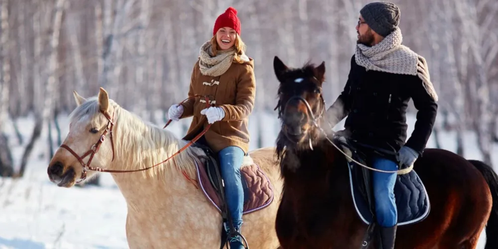 Как выбрать конную прогулку?