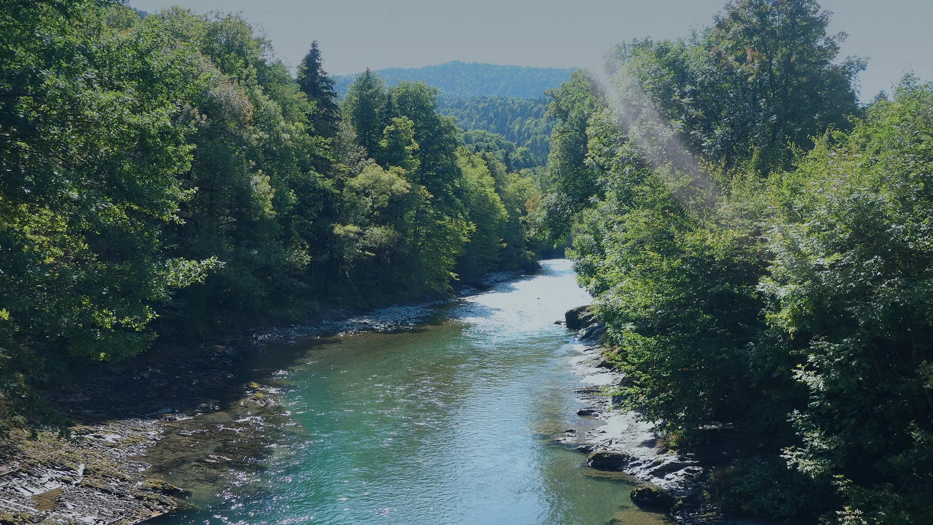 Музей заповедника