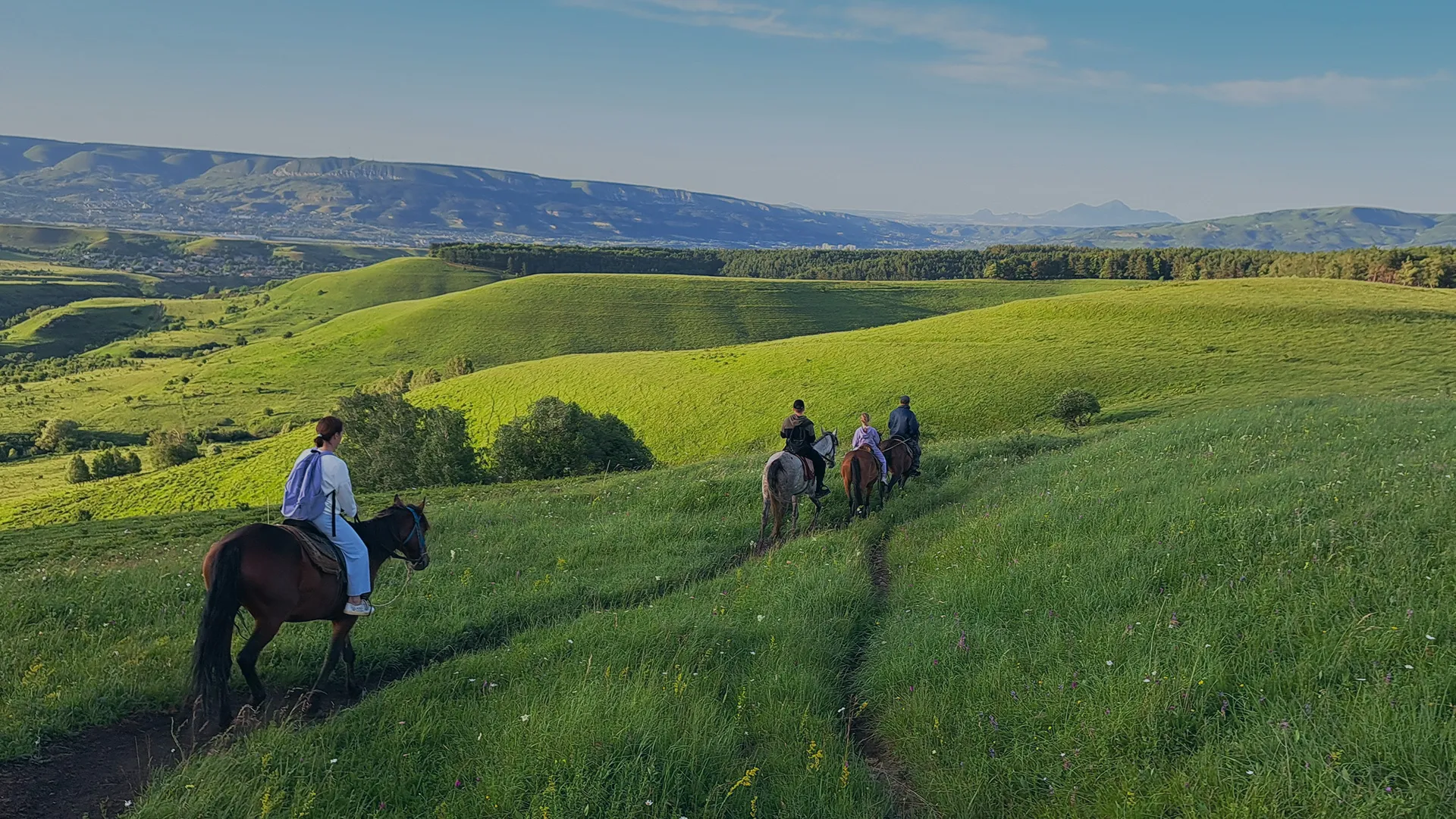 Конные прогрулки