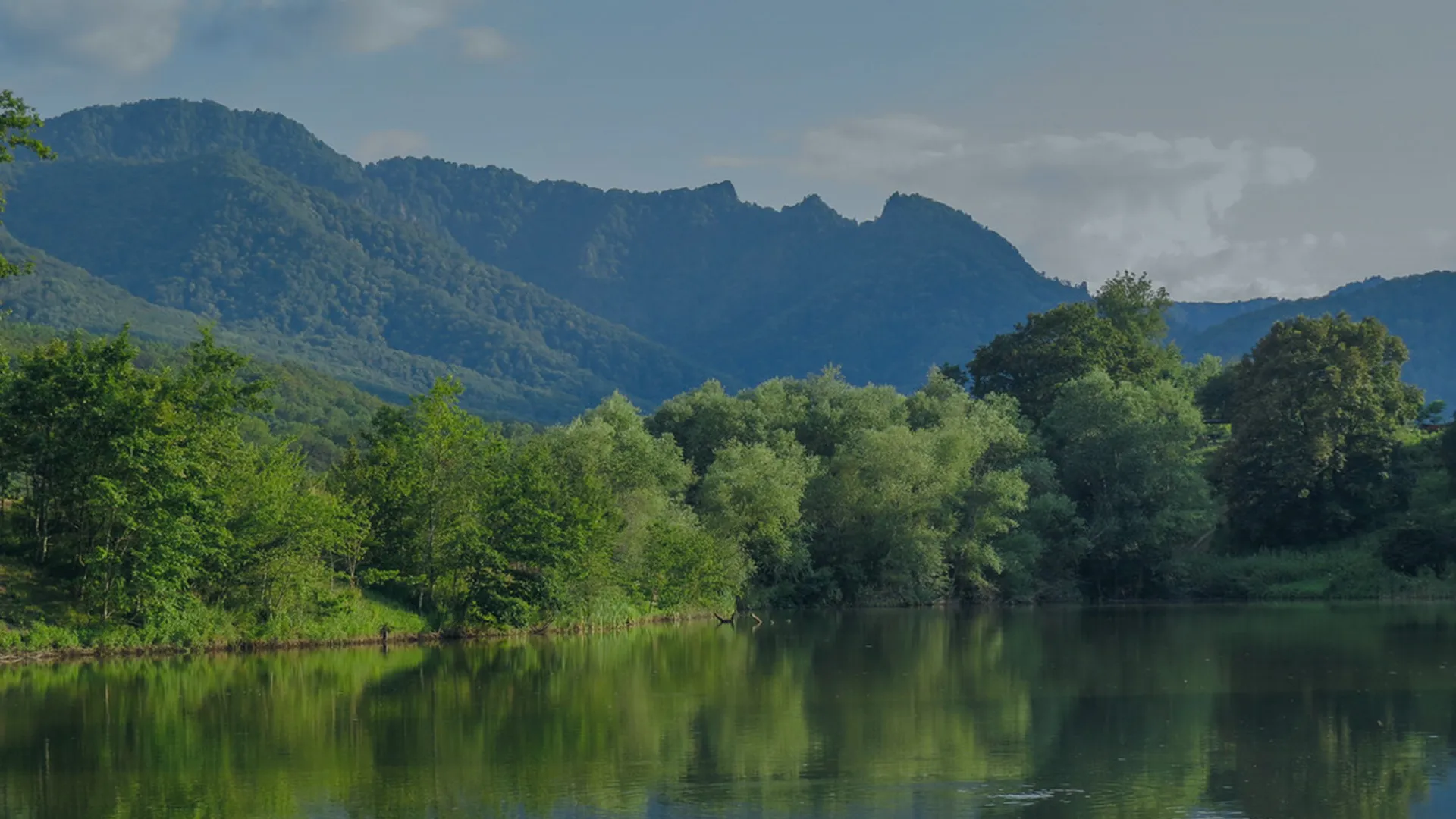 Эко Парк Дегуако