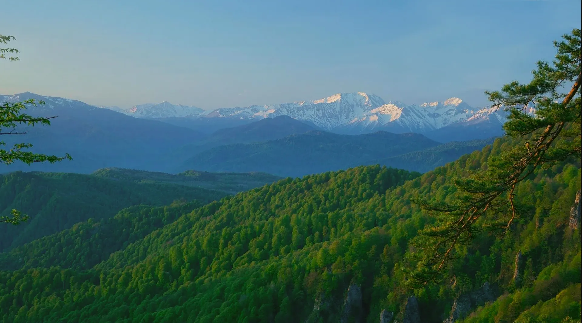 Развлечения