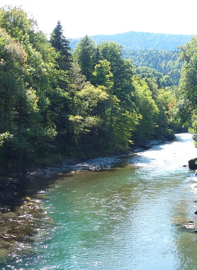 Музей заповедника