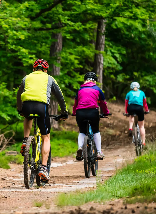 Велосипедные маршруты