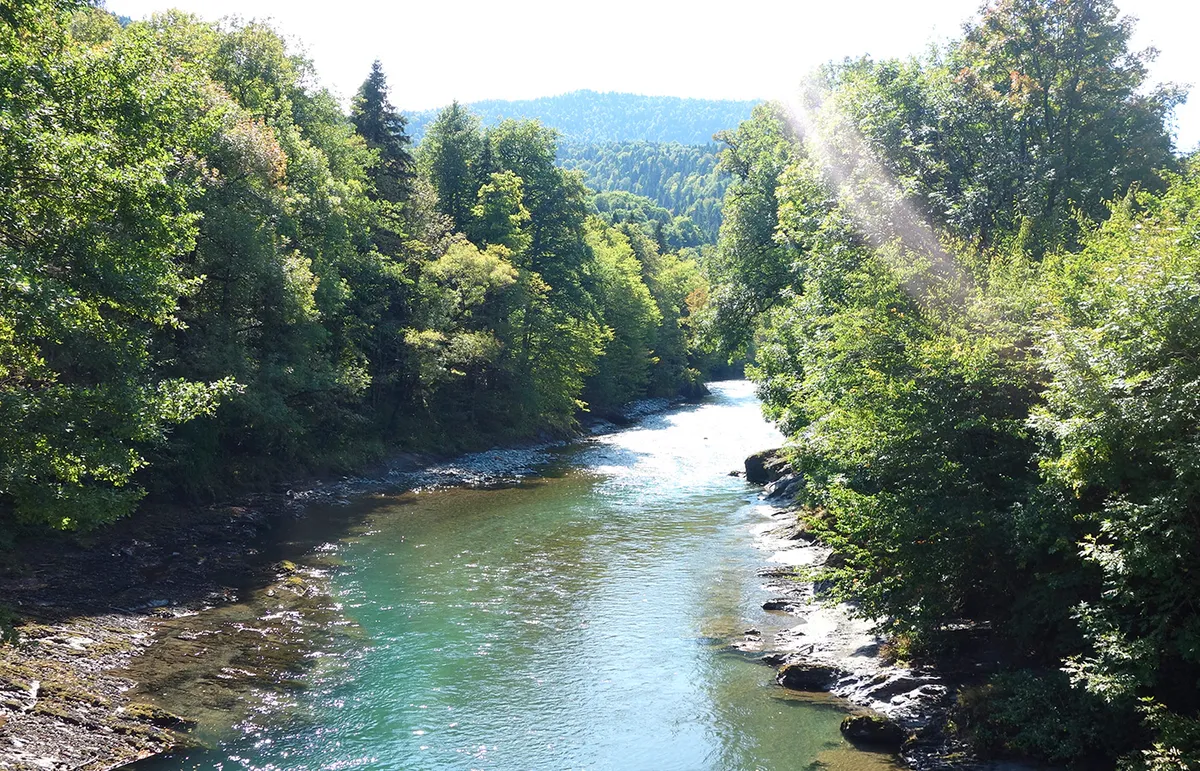 Музей заповедника