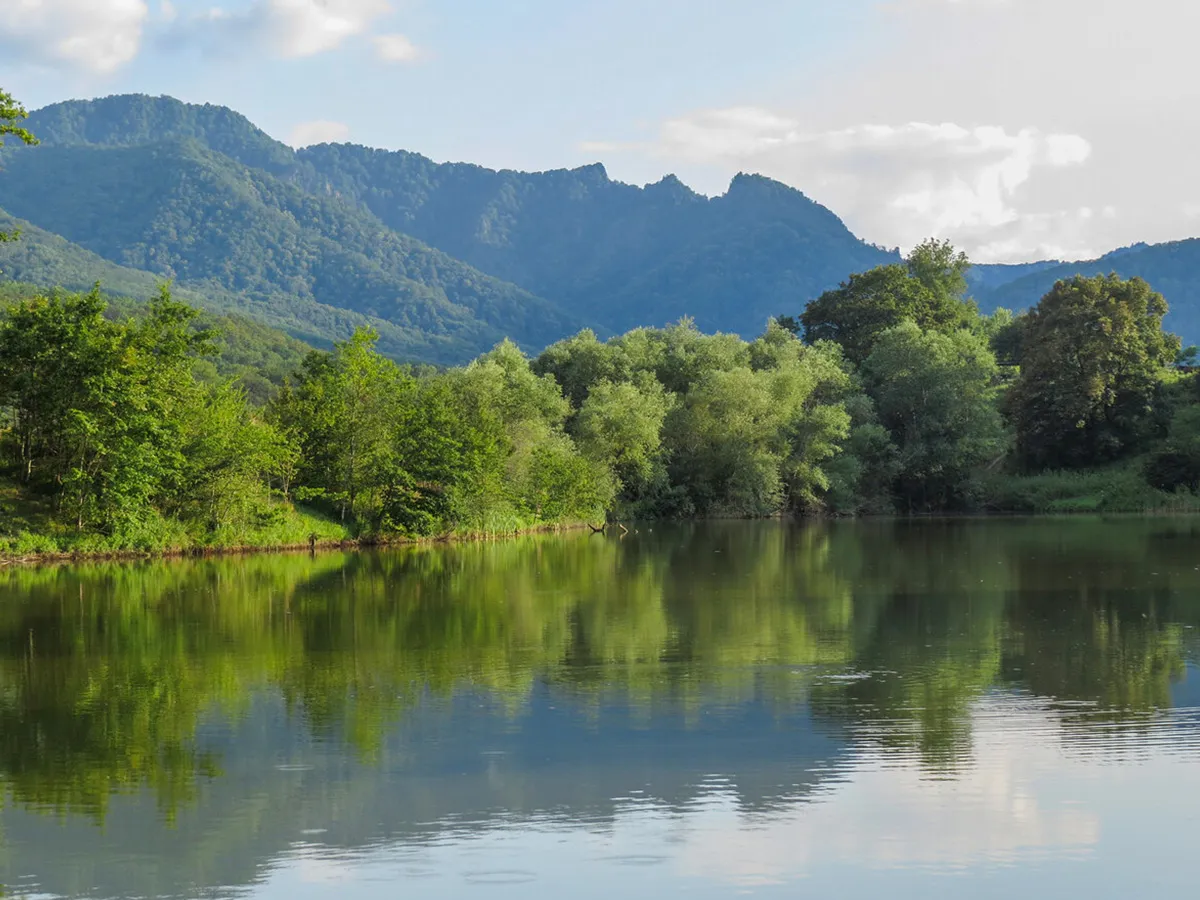 Эко Парк Дегуако