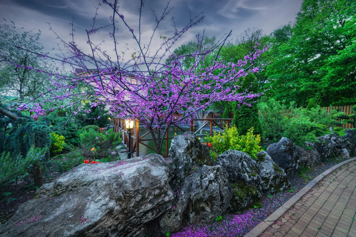 Турбаза Горная