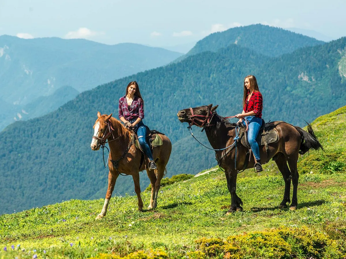 Конные прогрулки