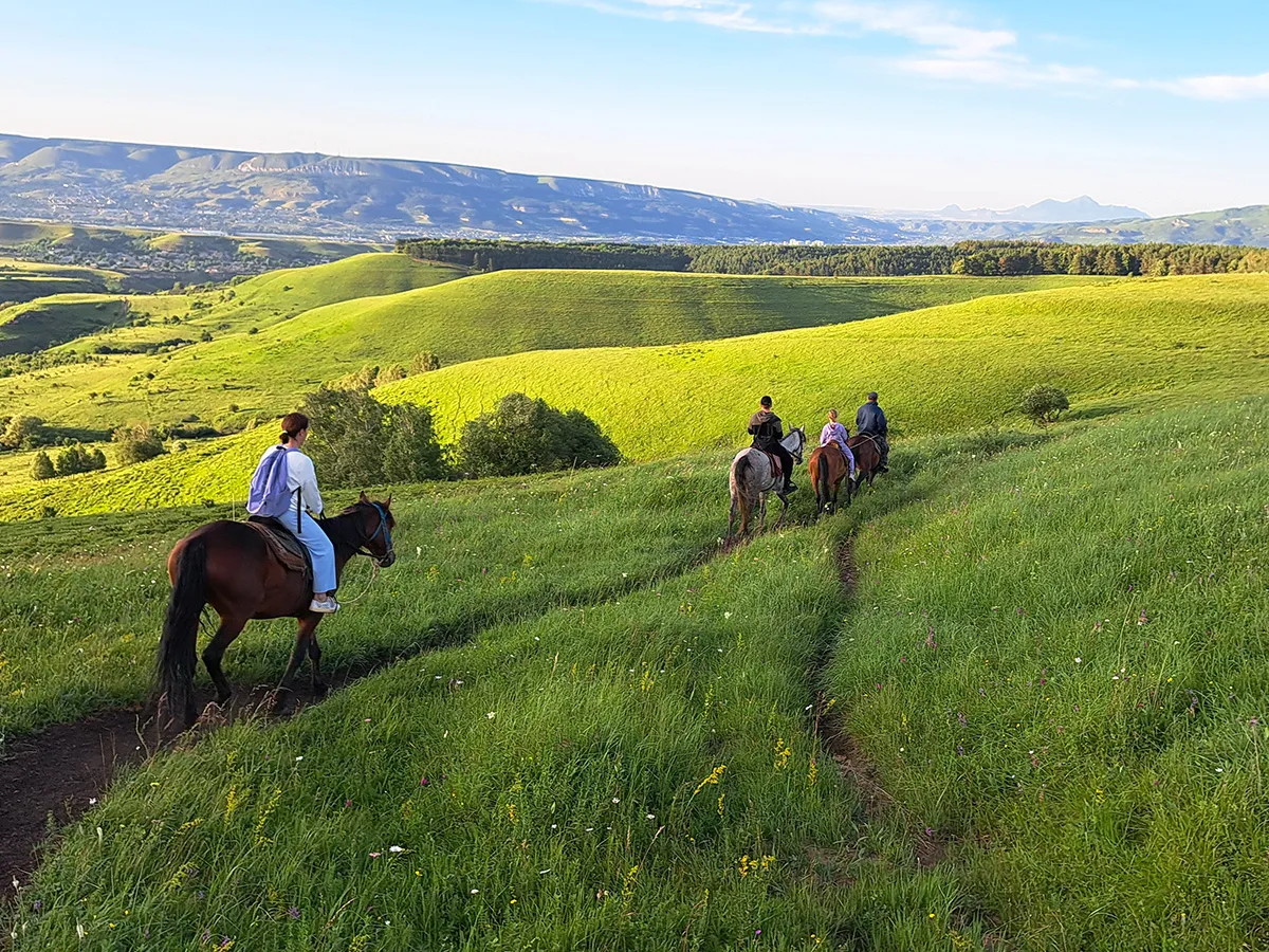 Конные прогрулки