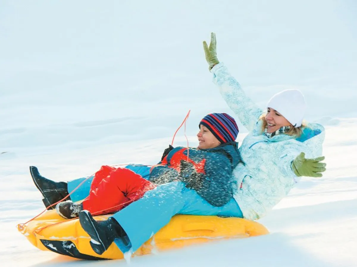 Прокат саней