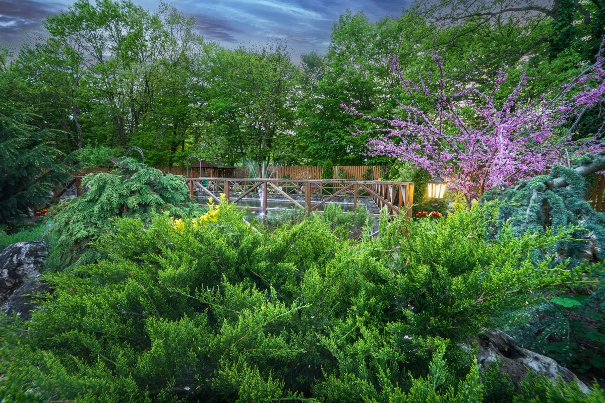 Турбаза Горная