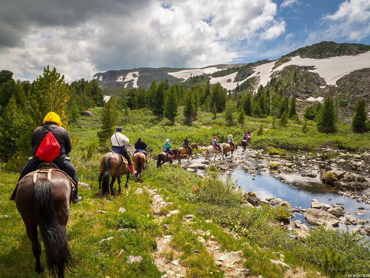 Конные прогрулки