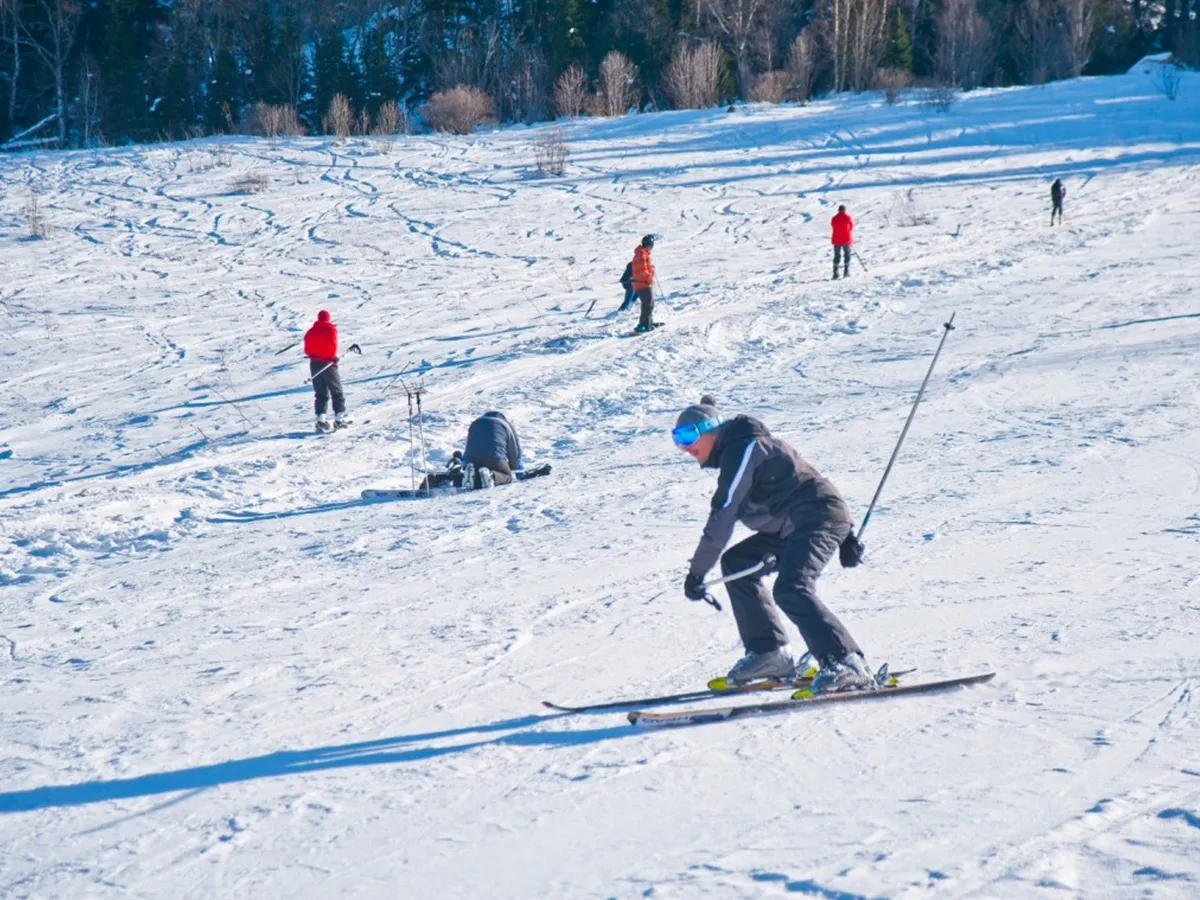 Прокат саней