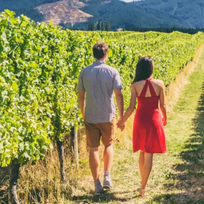 Основные тренды туристического сезона 2022