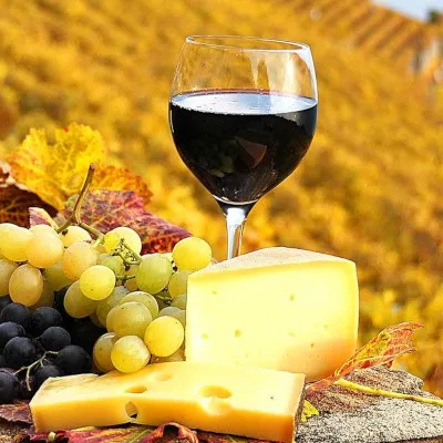 Какие возможности регионам дают винные туры