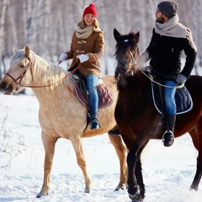 Как выбрать конную прогулку?