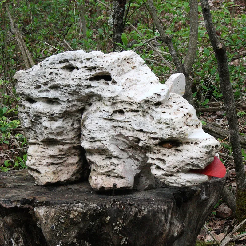 Что можно увидеть