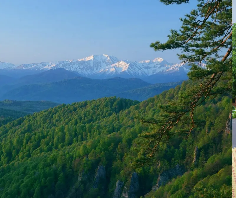 Смотровая площадка