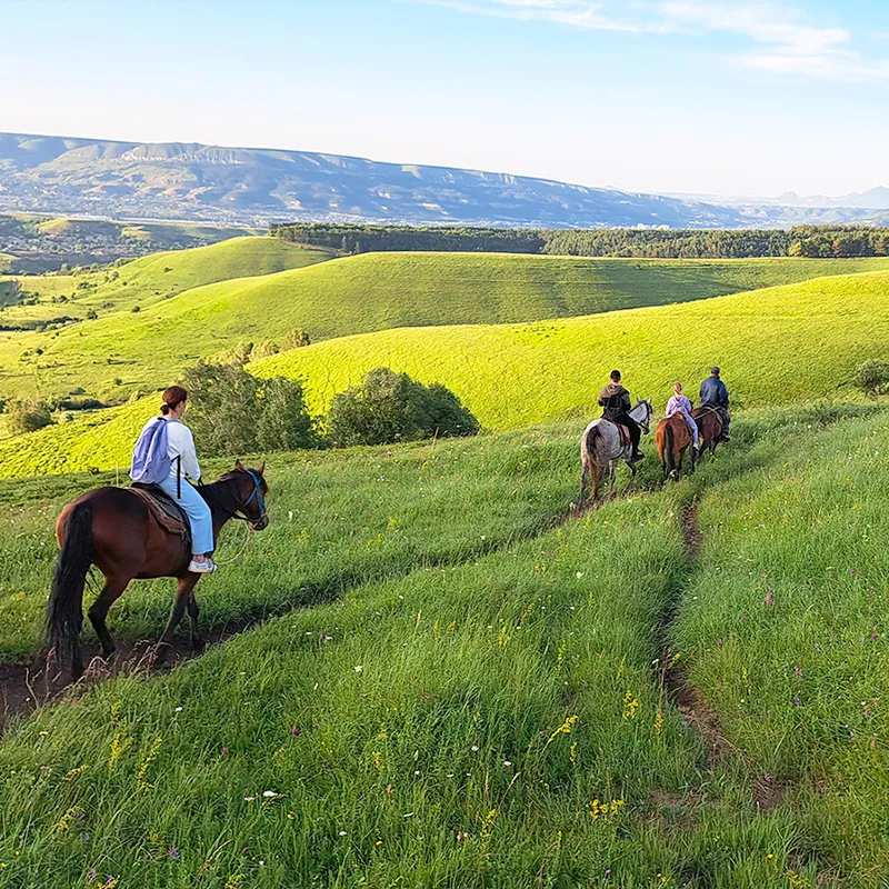 Почему конные прогулки в Адыгее