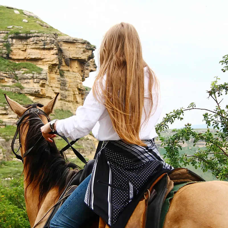 Стоимость конных прогулок в Адыгее