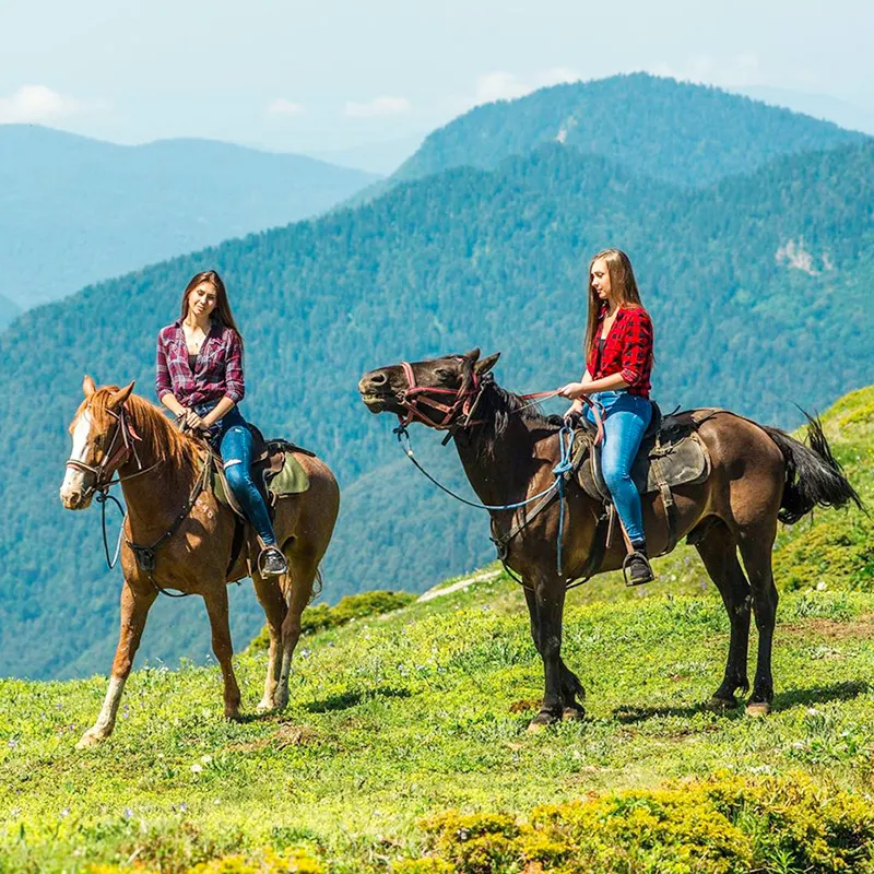 Организация прогулки