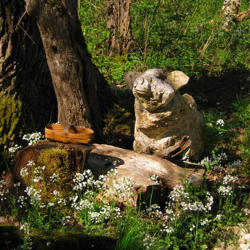 Чем интересен парк