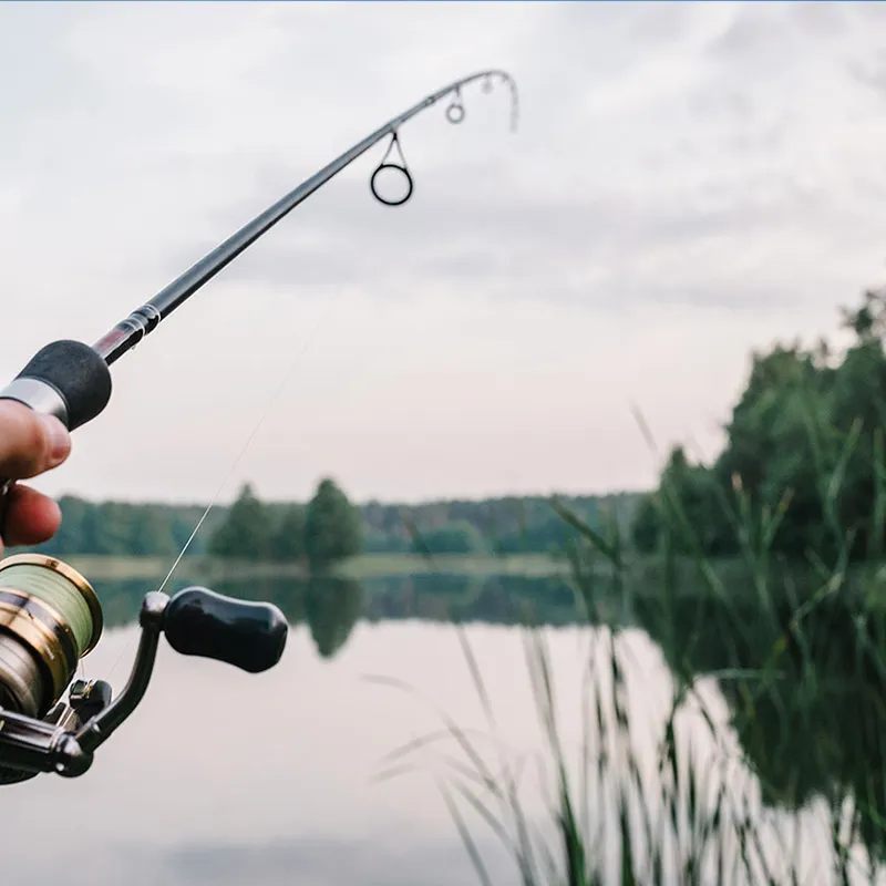 Развлечения и отдых