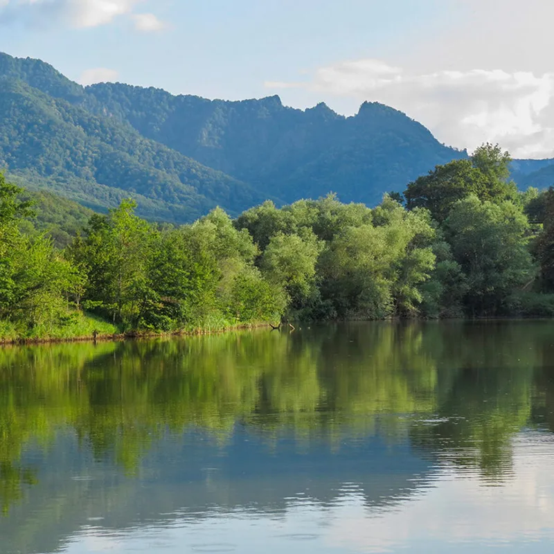 Природа парка