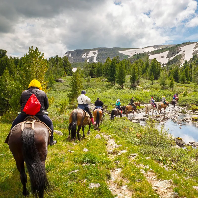 Конные прогулки для всей семьи