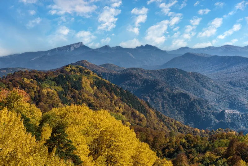 Горное Настроение