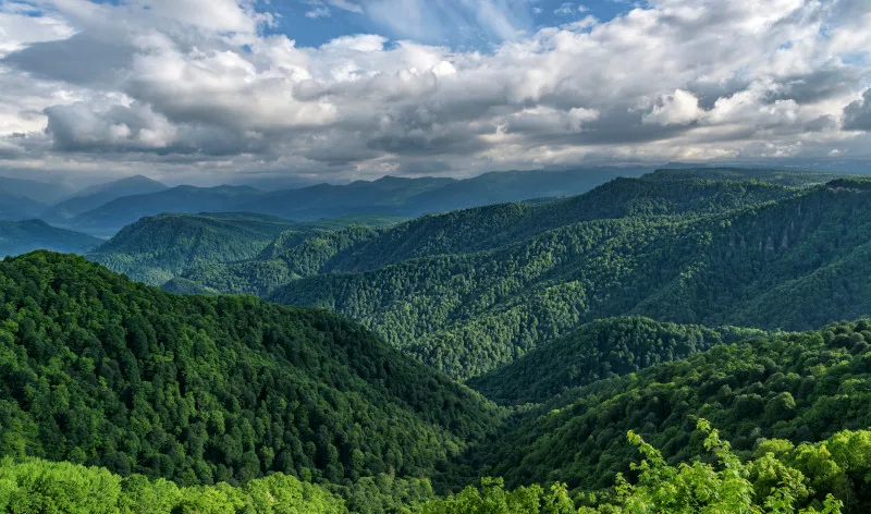 Горное Настроение